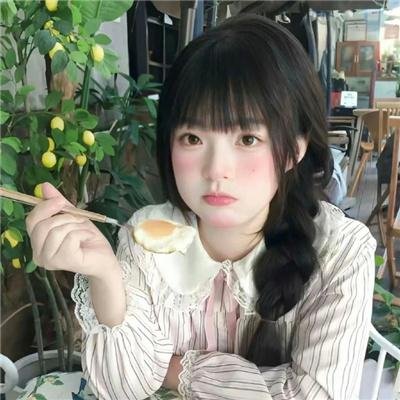 鬣狗之路